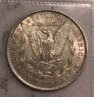 1901-P-Morgan-Silver-Dollar-Grade-Opinions